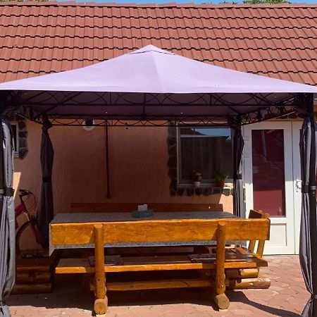 Casa Blendea Daniela Hotel Cîrţişoara Exterior foto