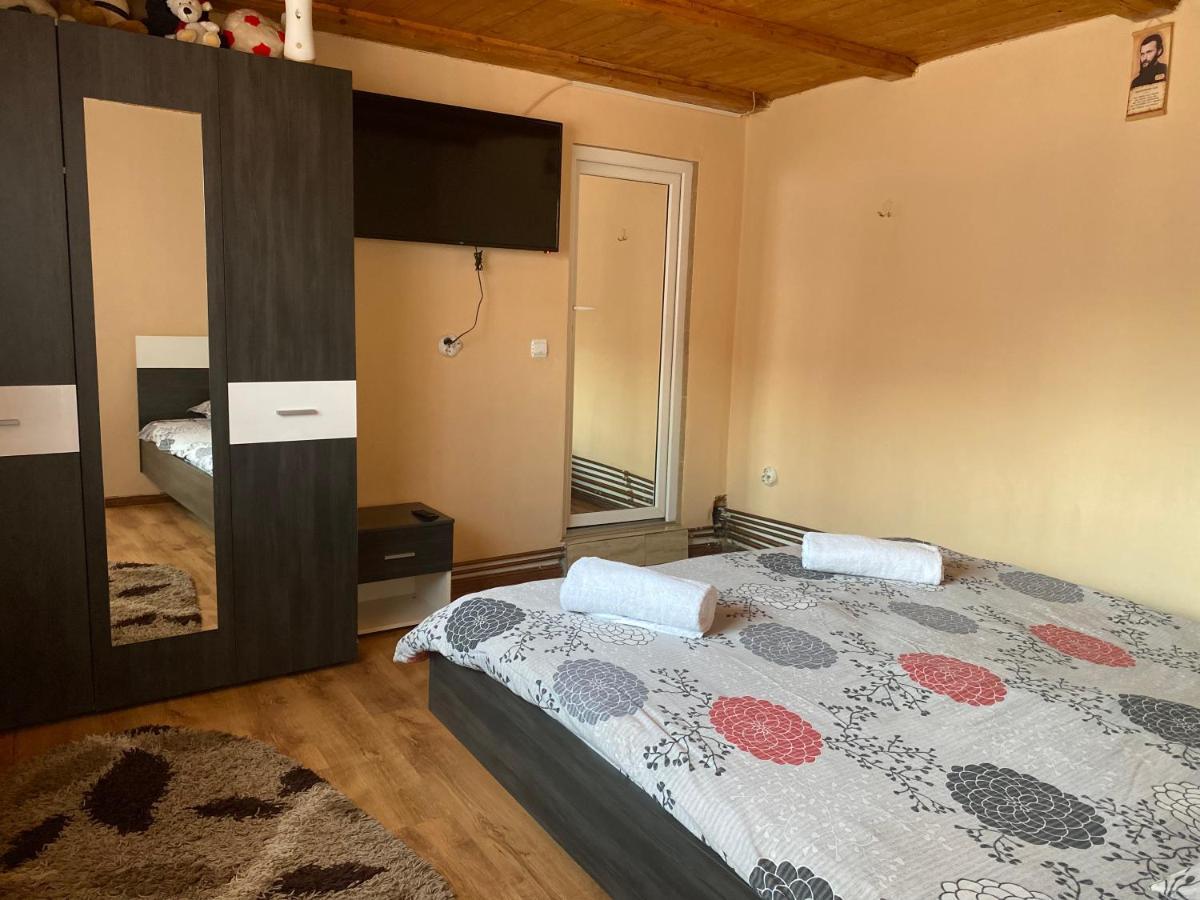 Casa Blendea Daniela Hotel Cîrţişoara Exterior foto