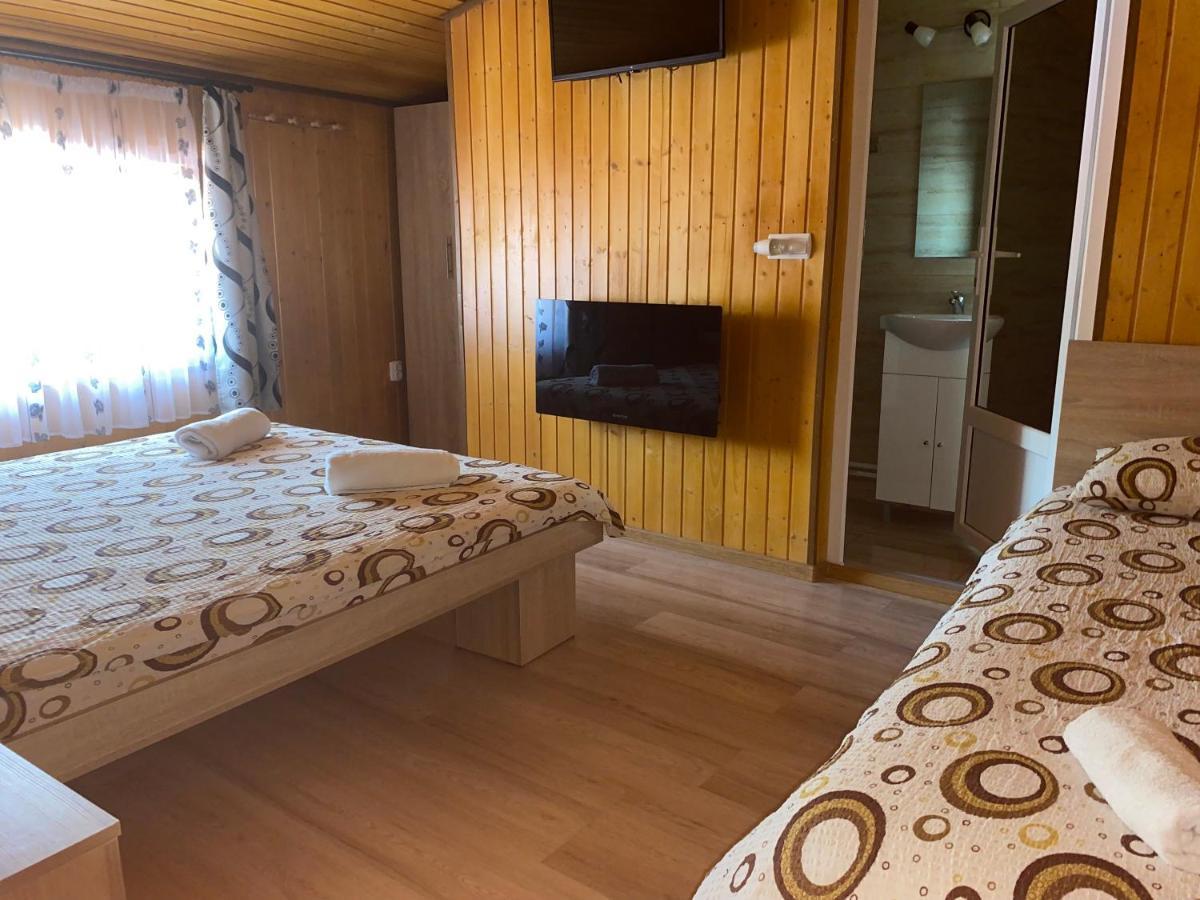Casa Blendea Daniela Hotel Cîrţişoara Exterior foto