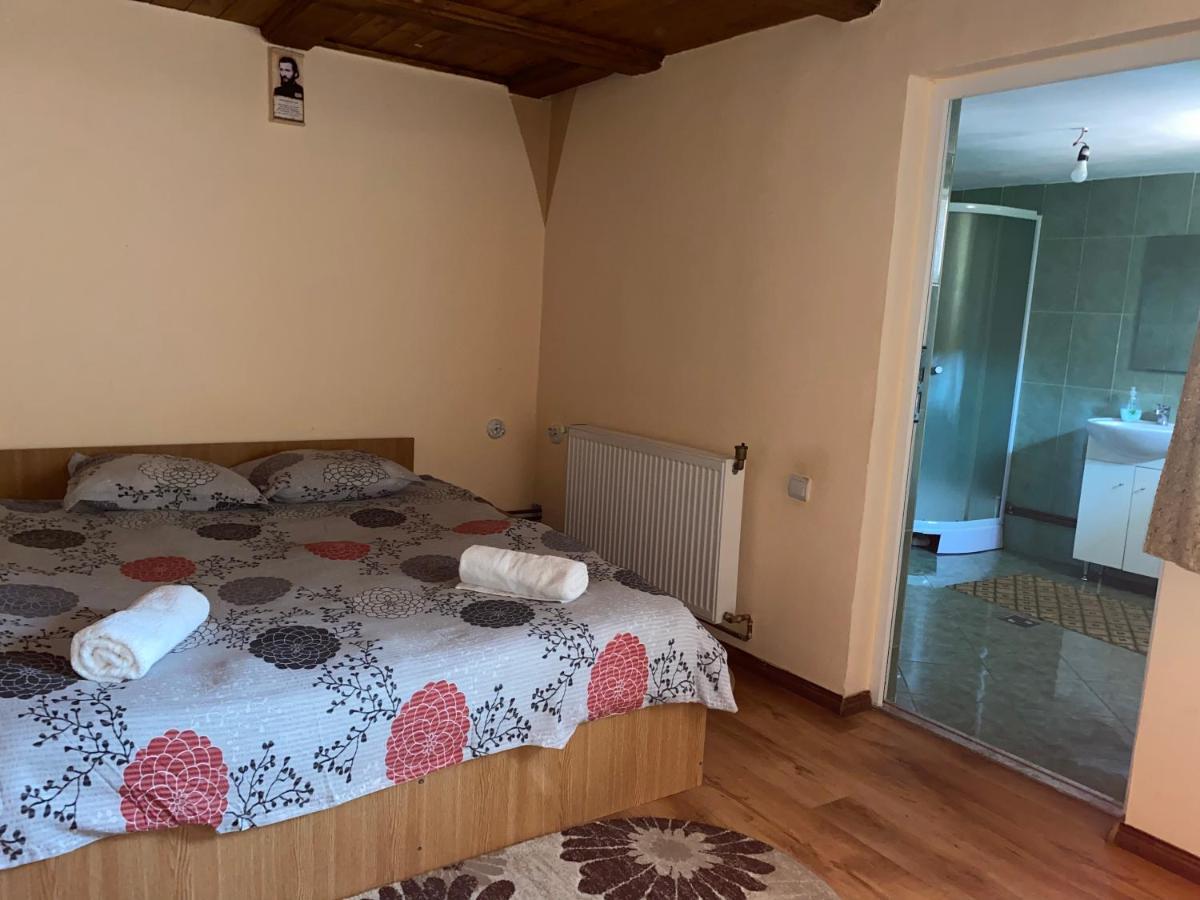 Casa Blendea Daniela Hotel Cîrţişoara Exterior foto
