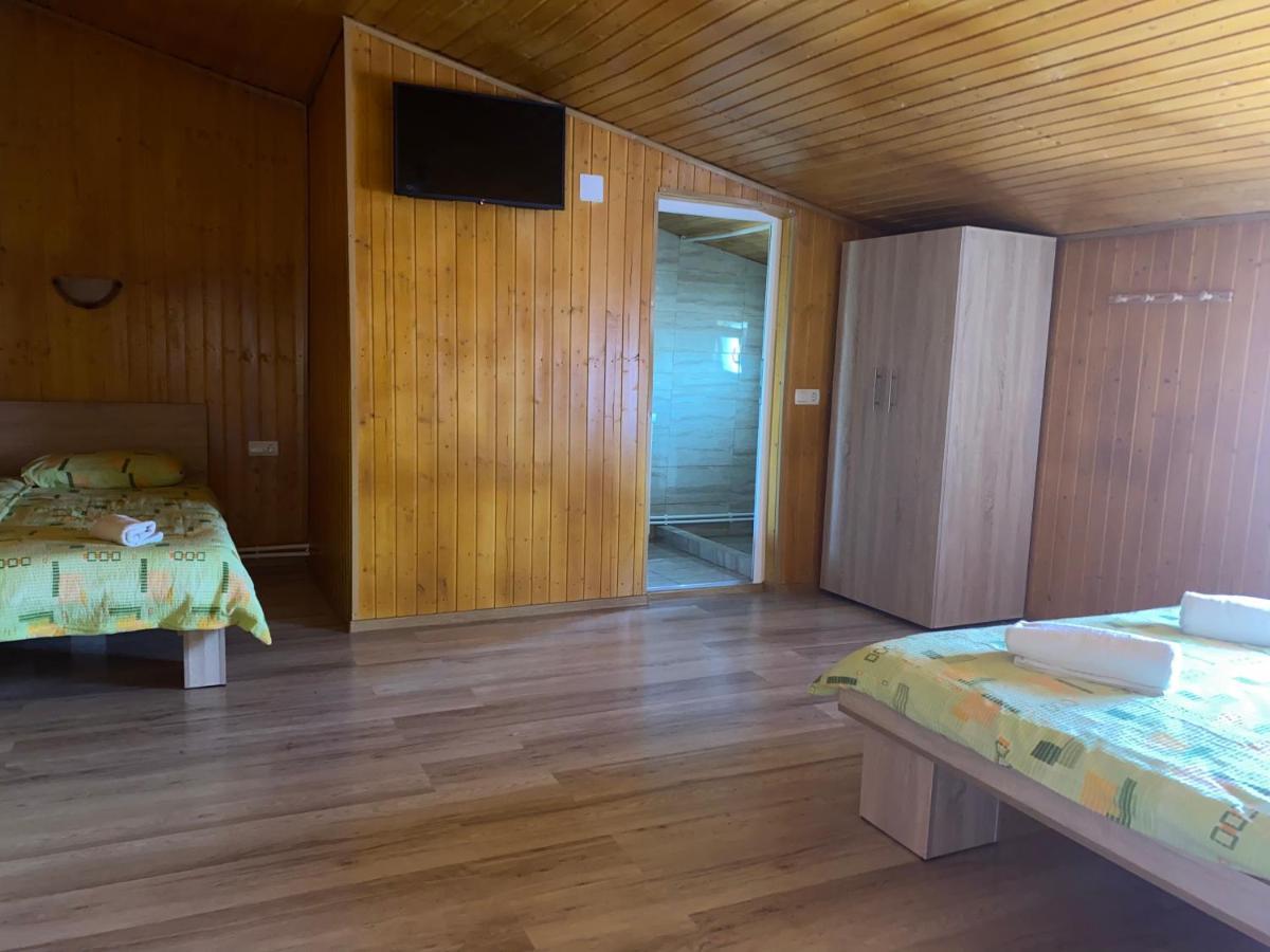 Casa Blendea Daniela Hotel Cîrţişoara Exterior foto
