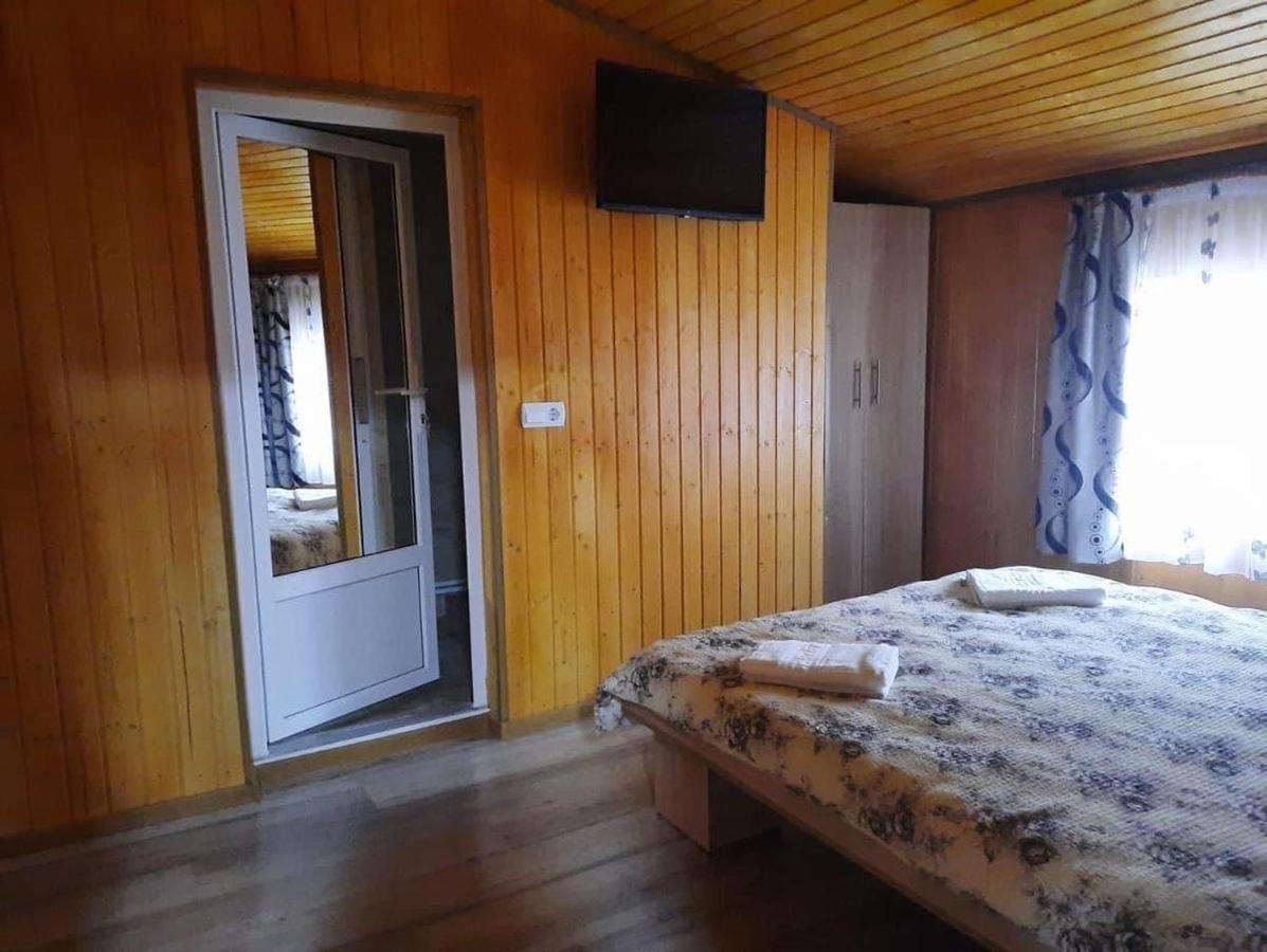 Casa Blendea Daniela Hotel Cîrţişoara Exterior foto