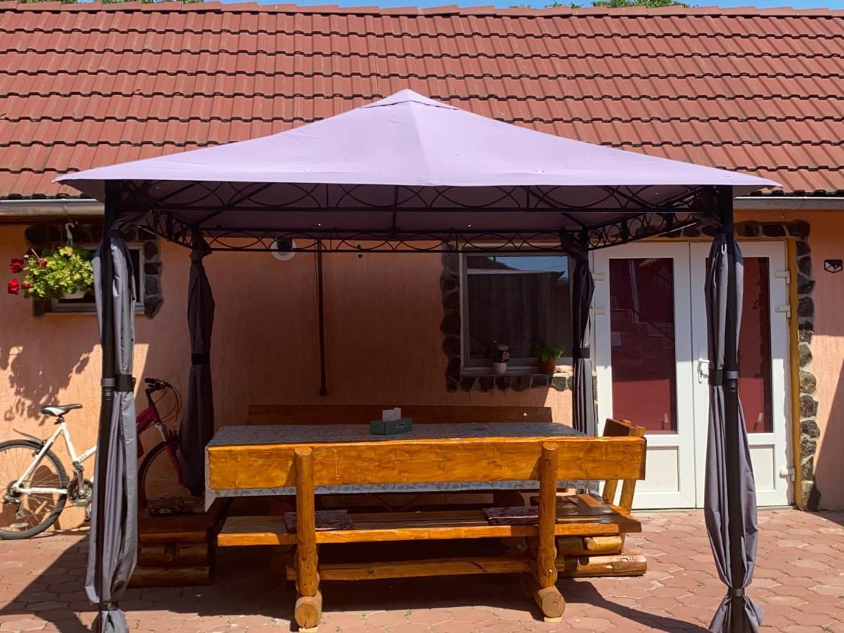 Casa Blendea Daniela Hotel Cîrţişoara Exterior foto