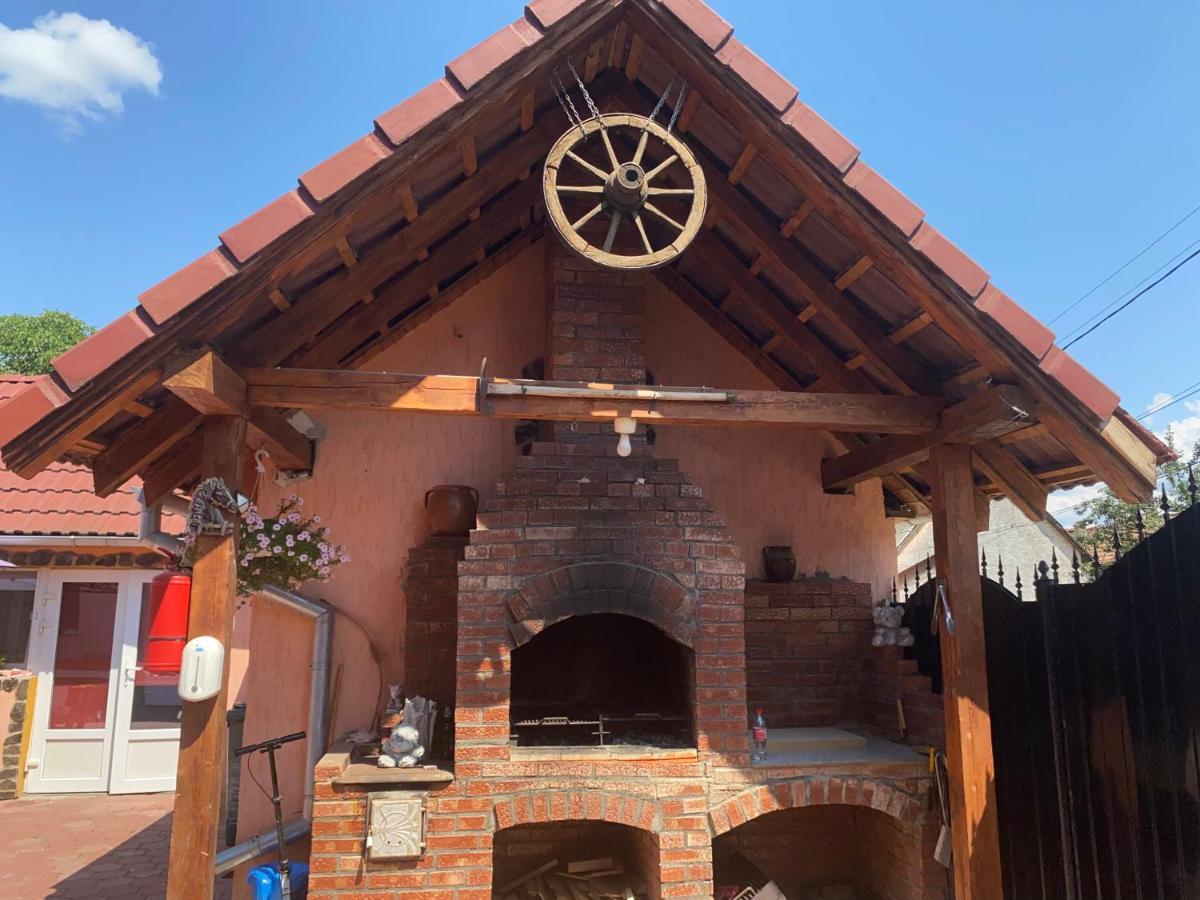 Casa Blendea Daniela Hotel Cîrţişoara Exterior foto