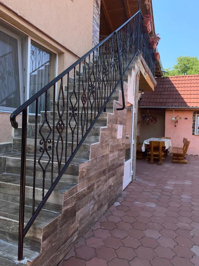 Casa Blendea Daniela Hotel Cîrţişoara Exterior foto