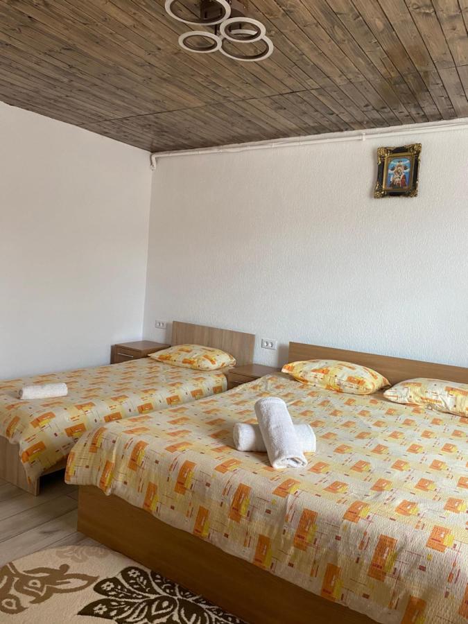 Casa Blendea Daniela Hotel Cîrţişoara Exterior foto