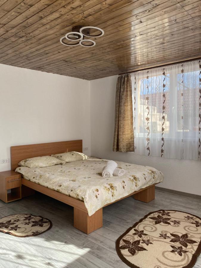Casa Blendea Daniela Hotel Cîrţişoara Exterior foto