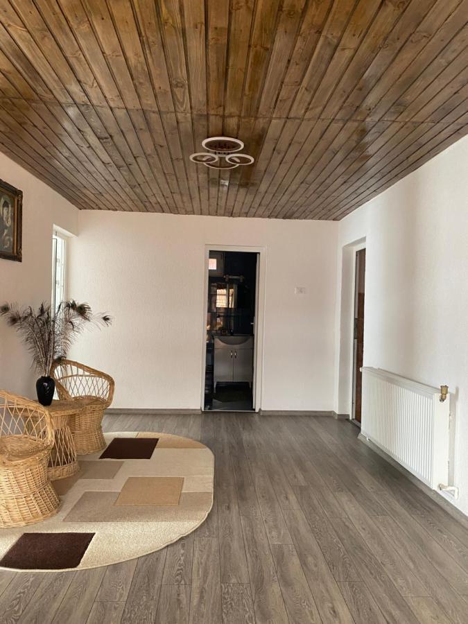 Casa Blendea Daniela Hotel Cîrţişoara Exterior foto